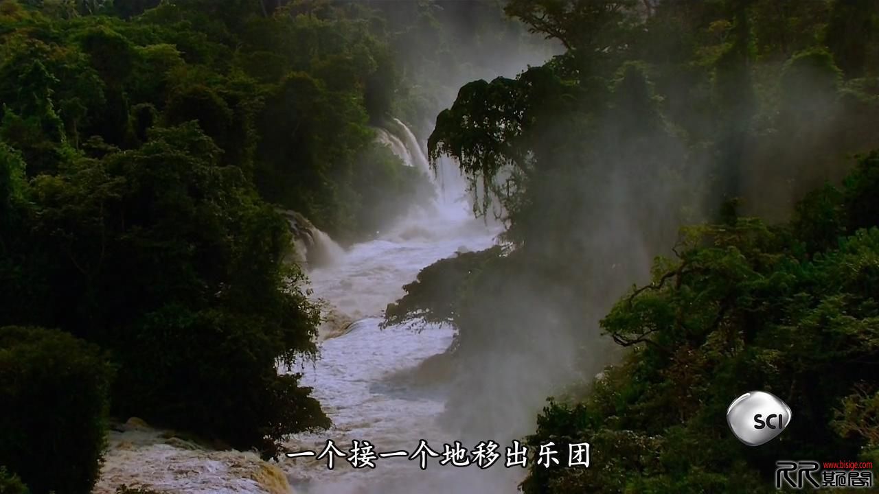[01.25][[多国][记录][竞相灭绝][HDTV-720P.MKV/2.25GB][英语中文简繁字幕][关爱地球的同时也关爱自己][已 ...