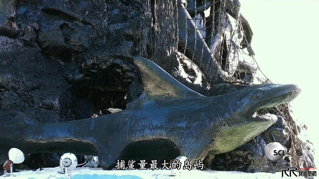 [01.25][[多国][记录][竞相灭绝][HDTV-720P.MKV/2.25GB][英语中文简繁字幕][关爱地球的同时也关爱自己][已 ...