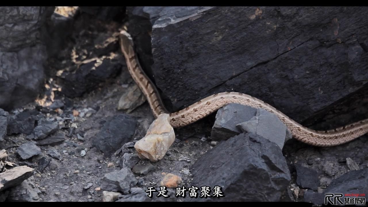 [04.12][中国/法国][纪录][悲兮魔兽][BluRay720P-MKV/2.3G][中文字幕][15年2国纪录片][已测]