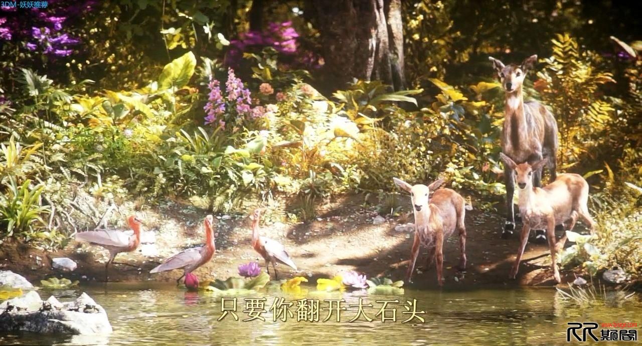 [04.26][美国][奇幻][森林王子/奇幻森林][TC720P/2.2G][中文字幕][英文原音压制][已测] 