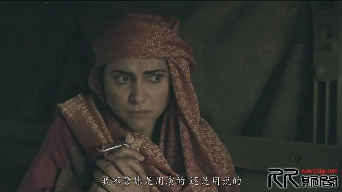 [08.23][美国][动作/战争][狙击手:特别行动][WEB-MKV/2G][英语中字][史蒂文·席格 主演/720P][已测]