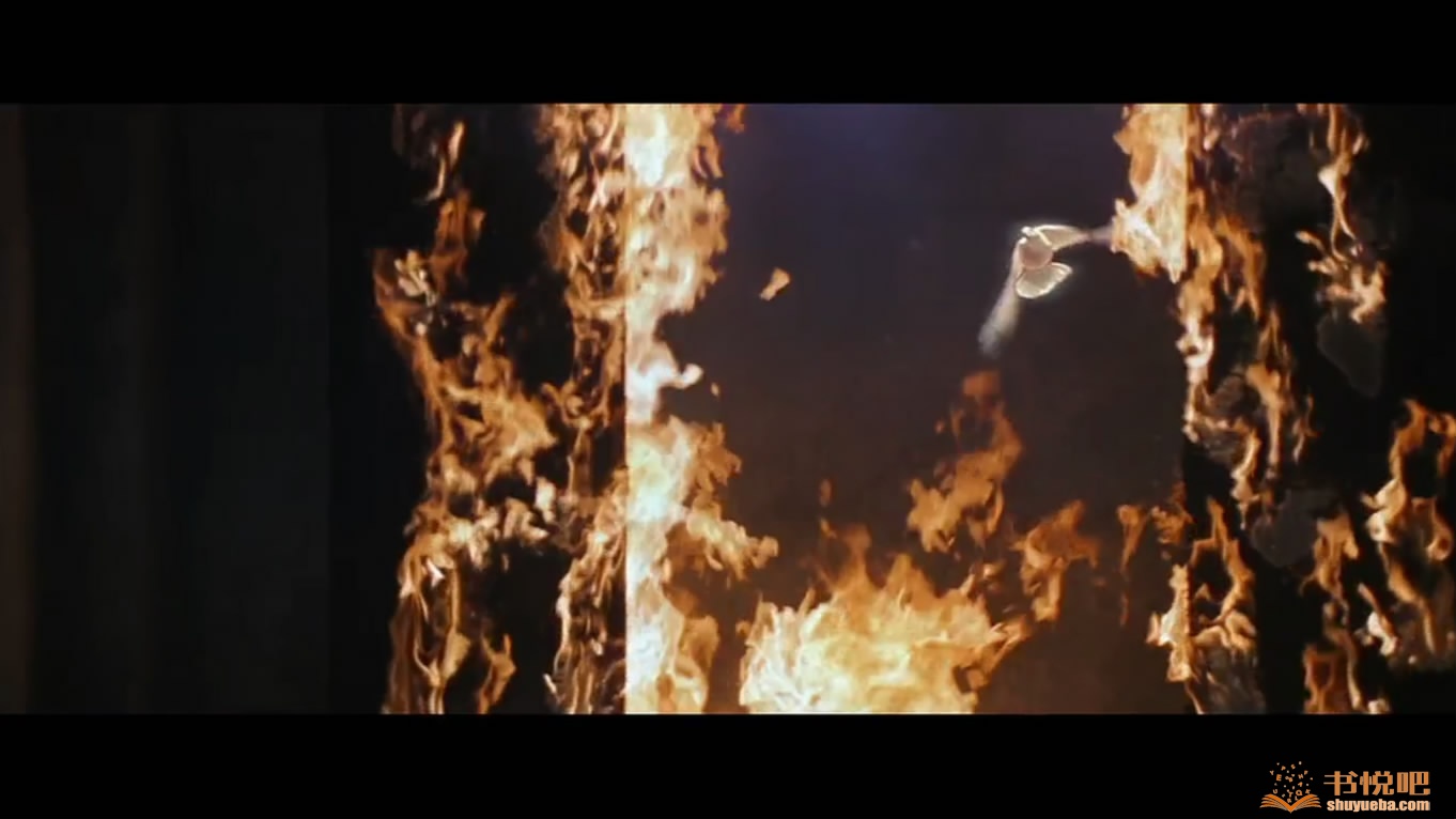 碟中谍2.Mission.Impossible.II.2000.剧照3.jpg