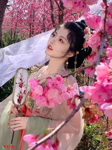 汉服公主写真[25P]